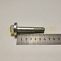 Болт М12*1,25*60 стойки развальный Ока (БелЗАН)(уп. 10 шт)