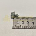 Болт М6*1*10 с зубчатым буртиком (БелЗАН)(уп. 50 шт)