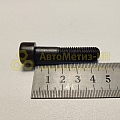 Винт М10*1,5*45 внутр. шестигран. (черный) (БелЗАН)(уп. 20 шт)