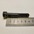 Винт М10*1,5*60 внутр. шестигран. (черный) (БелЗАН)(уп. 10 шт)