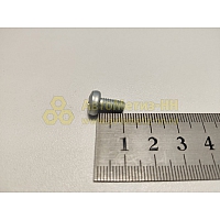 Винт М5*10 цилиндр. крест. ручки двери (Крепёж Машин)(уп. 50 шт)