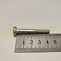 Винт М6*1*45 цилиндр. крест. поручня 2105 (БелЗАН)(уп. 50 шт)