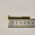 Винт М6*1*55 цилиндр. шлиц. крышки ТНВД (БелЗАН)(уп. 20 шт)