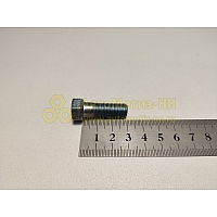 Болт М10*1*30 кардана 31029 гол. (Крепёж Машин)(уп. 10 шт)