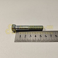 Болт М10*1*55 крепления балки Г-3110 (Кр.Этна)(уп. 10 шт)