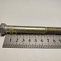 Болт М12*1,75*100 (Кр.Этна)(уп. 10 шт)