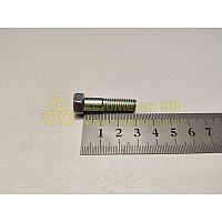 Болт М8*1,25*30 корзины сцепления (БелЗАН)(уп. 20 шт)