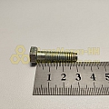 Болт М8*1,25*30 огранич.задних колодок Г-3110 (Кр.Этна)(уп. 20 шт)
