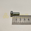 Болт М8*1,25*18 (Кр,Этна)(уп. 20 шт)