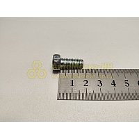 Болт М8*1,25*18 (РЗИ)(уп. 10 шт)