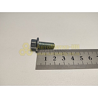 Болт М8*1,25*20 с фланцем пальца напр.суппорта (Крепёж Машин)(уп. 20 шт)