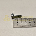 Болт М8*1,25*20 шкив помпы отражателя (Кр. Этна)(уп. 20 шт)