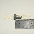 Болт М8*1,25*14 (Кр,Этна)(уп. 20 шт)