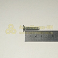 Винт М6*1*25 потай. шлиц. роз.внутр.ручки Г-3302 (уп. 50 шт)