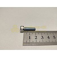 Винт М6*1*20 внутр. шестигран.(БелЗАН)(уп. 20 шт)
