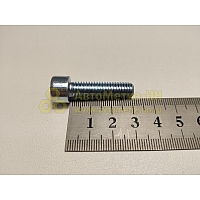 Винт М8*1,25*30 внутр. шестигран. (БелЗАН)(уп. 20 шт)