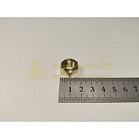 Гайка М10*1,25 приемной трубы латунь  (БелЗАН)(уп. 20 шт)