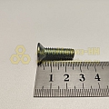 Винт М8*1,25*25 потай. звезд. замка двери Г-3302, Валдай (уп. 20 шт)