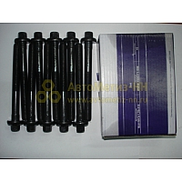 К-т болтов крепления ГБЦ ВАЗ 2101-07 21 н о(Крепёж Машин)