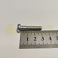 Винт М6*1*30 цилиндр. крест. поручня 2101 (БелЗАН)(уп. 20 шт)