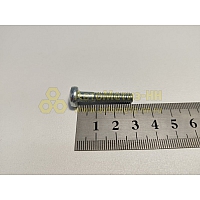 Винт М6*1*30 цилиндр. крест. поручня (Крепёж Машин)(уп. 20 шт)