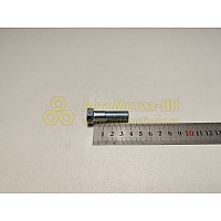Болт М12*1,25*38 кардана Г- 53 дл. гол. (БелЗАН)(уп. 10 шт)