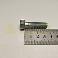 Болт М10*1,5*35 генератора (Кр.Этна)(уп. 10 шт)