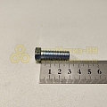 Болт М10*1,5*30 маслонасоса (РЗИ)(уп. 10 шт)