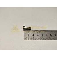 Болт М6*1*16 экрана датчика (Крепёж Машин)(уп. 20 шт)