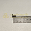 Болт М6*1*10 (уп. 20 шт)