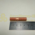 Шпилька М10*1*30 омедн. коллектора Г-3110 (РЗИ)(уп. 10 шт)