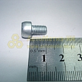 Винт М6*1*9,5 внутр. шестигран. (БелЗАН)(уп. 20 шт)