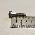 Болт М6*1*30 с фланцем (8.8)(уп. 10 шт)