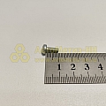Винт М4*10 цилиндр. крест. (БелЗАН)(уп. 50 шт)