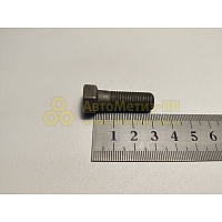 Болт М10*1*30 кардана Г-3110 гол. (Кр.Этна) (ЦИНК)(уп. 20 шт)