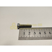 Болт М6*1*25 задней крышки КПП (Крепёж Машин)(уп. 20 шт)