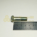 Болт М10*1*35 картера моста (Кр.Этна)(уп. 10 шт)