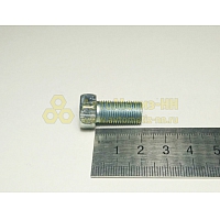Болт М10*1*20 опоры мех-зма боковой двери (Крепёж Машин)(уп. 10 шт)