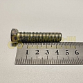 Болт М10*1,5*45 (уп. 10 шт)