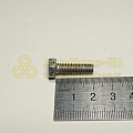 Болт М6*1*20 брызговика (Кр,Этна)(уп. 20 шт)