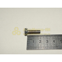 Болт М6*1*20 брызговика (Крепёж Машин)(уп. 20 шт)