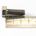 Болт М8*1,25*25 коль.упор.цапфы з м.с контр. (БелЗАН)(уп. 10 шт)