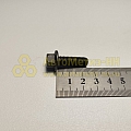 Болт М8*1,25*25 дв. Cummins ISF, ISВe, ВТ, L Г-3302, 3310,