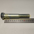 Болт М20*2,5*125 (БелЗАН)(уп. 5 шт)