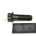 Болт М12*1,25*38 фланцевый гасителя крутил. колебаний (БелЗАН)(уп. 10 шт)