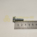 Болт М6*1*25 с зубчатым буртиком (БелЗАН)(уп. 20 шт)