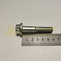 Болт М12*1,75*60 с фланцем EN1662 (10.9)(уп. 10 шт)