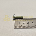 Винт М6*1*20 цилиндр. крест. поручня 2101,стартера (БелЗАН)(уп. 20 шт)