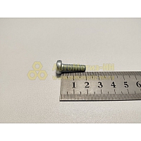 Винт М6*1*20 цилиндр. крест. поручня,стартера (Крепёж Машин)(уп. 20 шт)