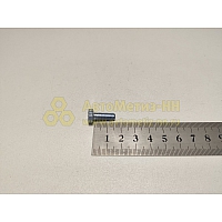 Болт М6*1*16 экрана датчика (Кр.Этна)(уп. 20 шт)